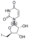 5'-DEOXYURIDINE, [5-3H]- 结构式