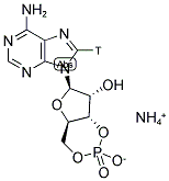 [8-3H]ADENOSINE 3',5'-CYCLIC PHOSPHATE, AMMONIUM SALT 结构式
