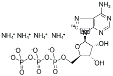 ADENOSINE 5'-TRIPHOSPHATE, TETRAAMMONIUM SALT, [8-14C]- 结构式