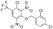 2-CHLORO-4-[(2,4-DICHLOROBENZYL)OXY]-3,5-DINITRO-1-(TRIFLUOROMETHYL)BENZENE 结构式