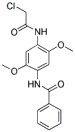 N-[4-[(CHLOROACETYL)AMINO]-2,5-DIMETHOXYPHENYL]BENZAMIDE 结构式