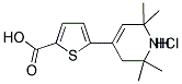 5-(2,2,6,6-TETRAMETHYL-1,2,3,6-TETRAHYDRO-PYRIDIN-4-YL)-THIOPHENE-2-CARBOXYLIC ACID HYDROCHLORIDE 结构式
