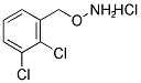 1-[(AMMONIOOXY)METHYL]-2,3-DICHLOROBENZENE CHLORIDE 结构式