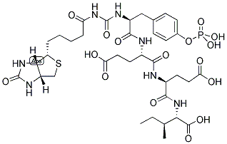 BIOTIN-EPSILON-AMINOCAPROYL-TYR(PO3H2)-GLU-GLU-ILE 结构式