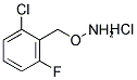 2-[(AMMONIOOXY)METHYL]-1-CHLORO-3-FLUOROBENZENE CHLORIDE 结构式