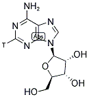 [2-3H]ADENOSINE 结构式