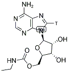 5'-N-ETHYLCARBOXAMIDO [8(N)-3H]ADENOSINE 结构式