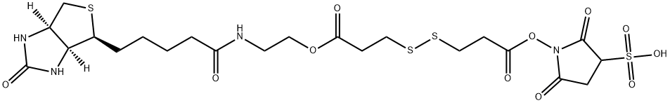 2,5-二氧代-1-((3-((3-氧代-3-(2-(5-((3AS,4S,6AR)-2-氧代六氢-1H-噻吩并[3,4-D]咪唑))-4-基)戊酰胺基)乙氧基)丙基)二硫基)丙酰基)氧基)吡咯烷-3-磺酸 结构式
