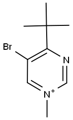 5-BROMO-4-TERT-BUTYL-1-METHYLPYRIMIDIN-1-IUM 结构式