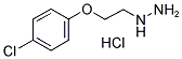 [2-(4-CHLOROPHENOXY)ETHYL]HYDRAZINE HYDROCHLORIDE 结构式