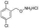 2-[(AMMONIOOXY)METHYL]-1,4-DICHLOROBENZENE CHLORIDE 结构式