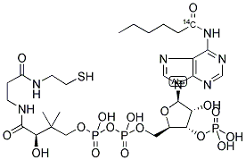 HEXANOYL COENZYME A, [N-HEXANOYL 1-14C] 结构式