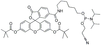 6-FAM 单体 结构式