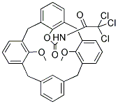 25,27-DIMETHOXY-26-(N-TRICHLOROACETYL)CARBAMOYLOXYCALIX[4]ARENE 结构式