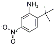 2-TERT-BUTYL-5-NITROANILINE 结构式