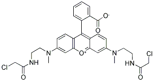 N,N'-双[2-(氯乙酰胺基)乙基]-N,N'-二甲基罗丹明 结构式