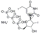 [METHYL,1',2'-3H]THYMIDINE 5'-TRIPHOSPHATE, AMMONIUM SALT 结构式