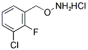 1-[(AMMONIOOXY)METHYL]-3-CHLORO-2-FLUOROBENZENE CHLORIDE 结构式