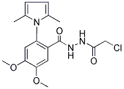 N'-(2-CHLOROACETYL)-2-(2,5-DIMETHYL-1H-PYRROL-1-YL)-4,5-DIMETHOXYBENZOHYDRAZIDE 结构式
