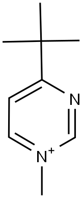 4-TERT-BUTYL-1-METHYLPYRIMIDIN-1-IUM 结构式