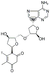 2'-DEOXYADENYLYL(3'->5')-THYMIDINE, [3H]- 结构式