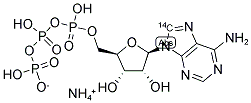 [8-14C]ADENOSINE 5'-TRIPHOSPHATE, AMMONIUM SALT 结构式