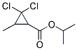 ISOPROPYL 2,2-DICHLORO-3-METHYLCYCLOPROPANECARBOXYLATE 结构式