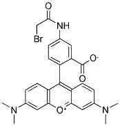 5-[BROMOACETAMIDO]TETRAMETHYLRHODAMINE 结构式