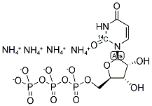 URIDINE 5'-TRIPHOSPHATE TETRAAMMONIUM SALT, [2-14C] 结构式