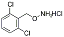 2-[(AMMONIOOXY)METHYL]-1,3-DICHLOROBENZENE CHLORIDE 结构式