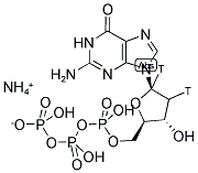 DEOXY[1',2'-3H]GUANOSINE 5'-TRIPHOSPHATE, AMMONIUM SALT 结构式