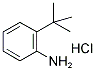 2-(TERT-BUTYL)ANILINE HYDROCHLORIDE 结构式