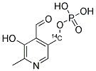 PYRIDOXAL 5-PHOSPHATE, [14C] 结构式