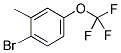 2-METHYL-4-(TRIFLUOROMETHOXY)BROMOBENZENE 结构式