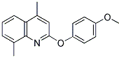 2-(4-METHOXYPHENOXY)-4,8-DIMETHYLQUINOLINE 结构式