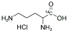 DL-ORNITHINE HYDROCHLORIDE, [1-14C]- 结构式