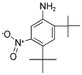 2,4-DITERT-BUTYL-5-NITROANILINE 结构式