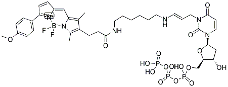 BODIPY(R) TMR-14-dUTP 结构式