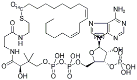 LINOLEOYL COENZYME A, [LINOLEOYL 1-14C] 结构式