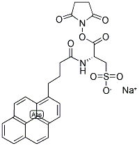 N-(1-PYRENEBUTANOYL)CYSTEIC ACID, SUCCINIMIDYL ESTER, SODIUM SALT 结构式