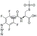 4-AZIDO-2,3,5,6-TETRAFLUOROBENZAMIDOCYSTEINE METHANETHIOSULFONATE 结构式