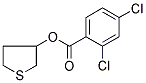 TETRAHYDROTHIOPHEN-3-YL 2,4-DICHLOROBENZOATE 结构式