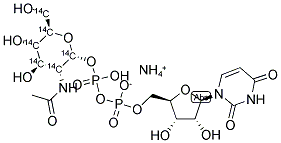 URIDINE DIPHOSPHO-N-ACETYL-D-[U-14C]-GLUCOSAMINE, AMMONIUM SALT 结构式