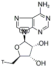 5'-DEOXYADENOSINE, [5'-3H]- 结构式