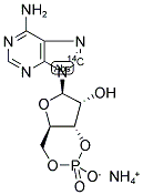 ADENOSINE-8-14C CYCLIC MONOPHOSPHATE AMMONIUM SALT 结构式