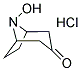 8-Hydroxy-8-azabicyclo[3.2.1]octan-3-one hydrochloride 结构式