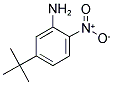 5-TERT-BUTYL-2-NITROANILINE 结构式