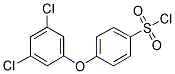 [4-(3,5-DICHLOROPHENOXY)PHENYL]SULFONYL CHLORIDE 结构式