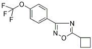 5-CYCLOBUTYL-3-[4-(TRIFLUOROMETHOXY)PHENYL]-1,2,4-OXADIAZOLE 结构式