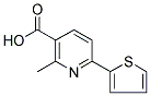 2-METHYL-6-THIEN-2-YLNICOTINIC ACID 结构式